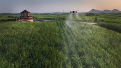 煮糖、分蜜等环节环节端赖师徒口耳相